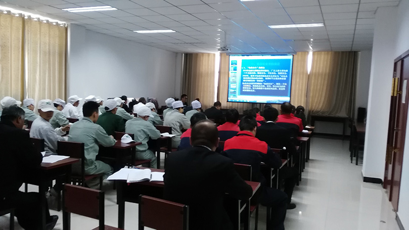 銀川伊百盛生物工程有限公司 銀川伊百盛生物工程有限公司