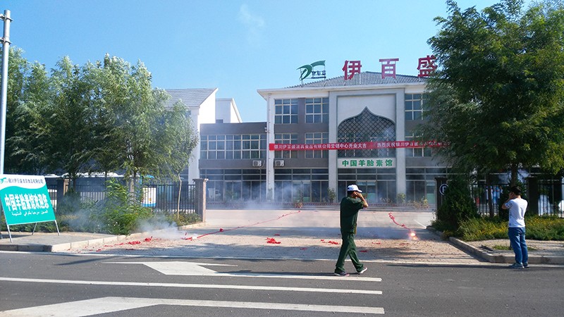 銀川伊百盛生物工程有限公司 銀川伊百盛生物工程有限公司