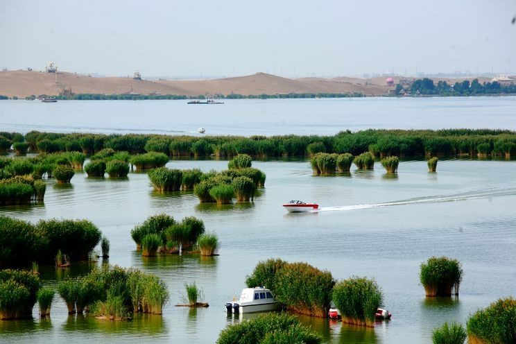 銀川伊百盛生物工程有限公司 銀川伊百盛生物工程有限公司
