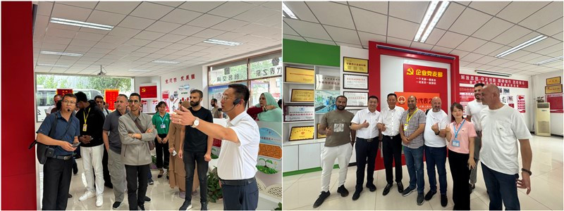 銀川伊百盛生物工程有限公司 銀川伊百盛生物工程有限公司