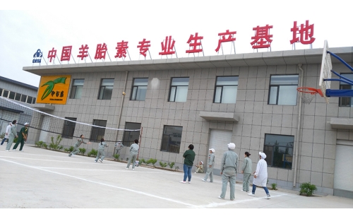 團(tuán)結(jié)合作，快樂迎五一