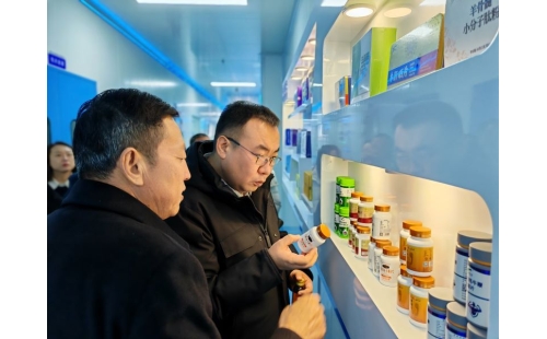 金鳳區(qū)常委、組織部長(zhǎng)杜鈞，副區(qū)長(zhǎng)、公安局長(zhǎng)王占東一行蒞臨企業(yè)參觀調(diào)研