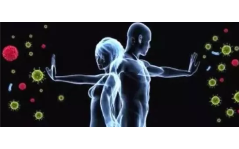 為什么補(bǔ)的是肽而不是氨基酸？