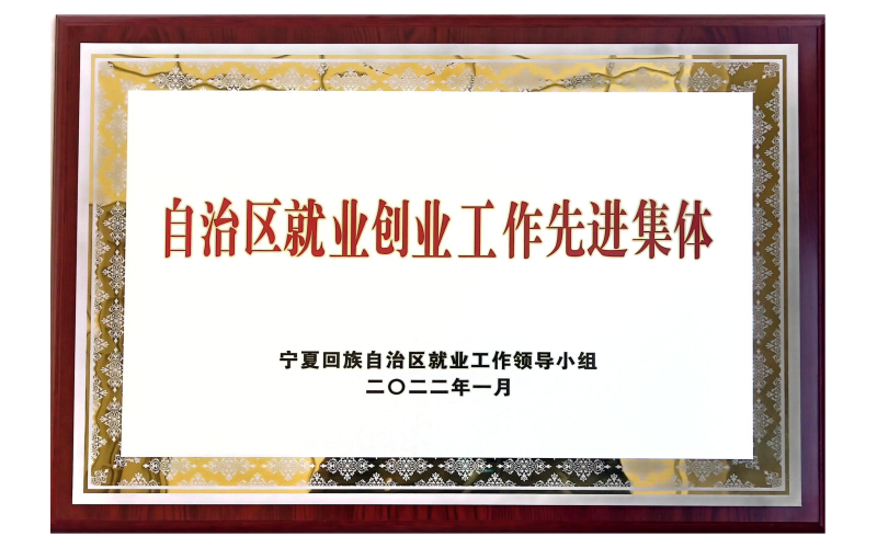 自治區(qū)就業(yè)創(chuàng)業(yè)工作先進集體